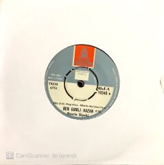 Nesrin Sipahi - Ben Gamlı Hazan 45lik