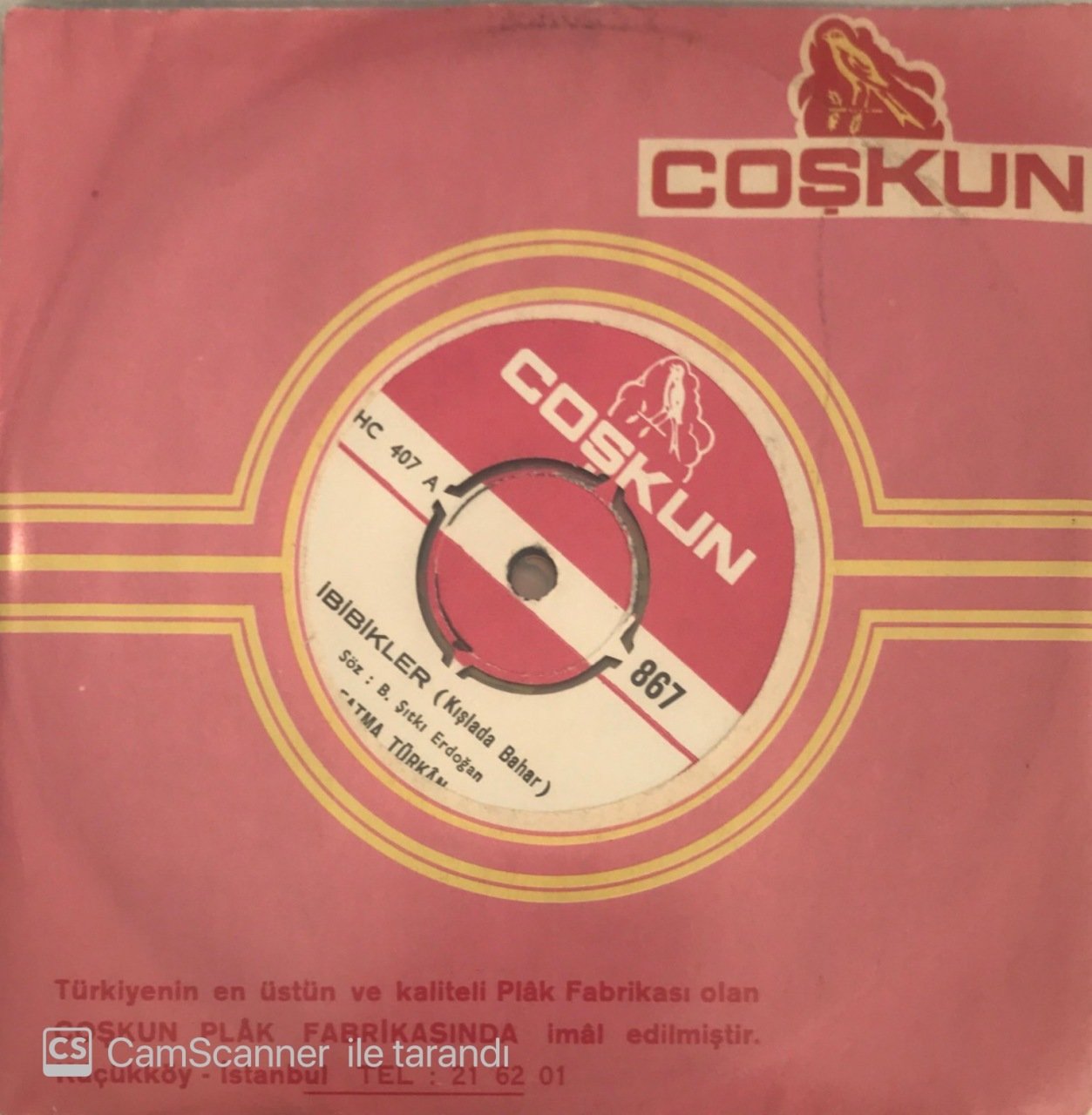 Fatma Türkan İbibikler 45lik