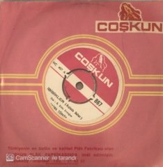 Fatma Türkan İbibikler 45lik