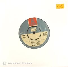 Nesrin Sipahi - Mevlana 45lik