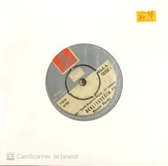 Nesrin Sipahi - Bekliyeceğim 45lik