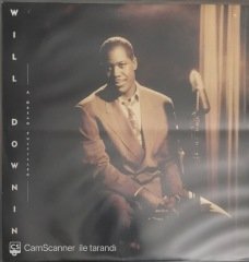 Will Downing A Dream Fulfilled LP