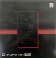 Stranger Things - Music From The Netflix Original Series Çift LP