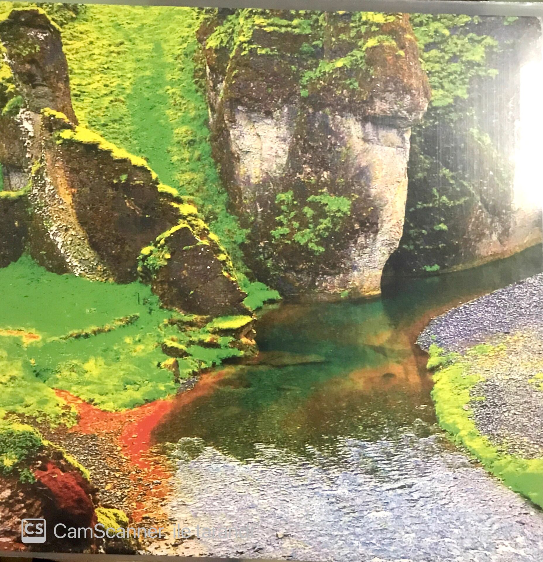 Clams Casino - Rainforest LP