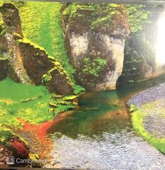 Clams Casino - Rainforest LP
