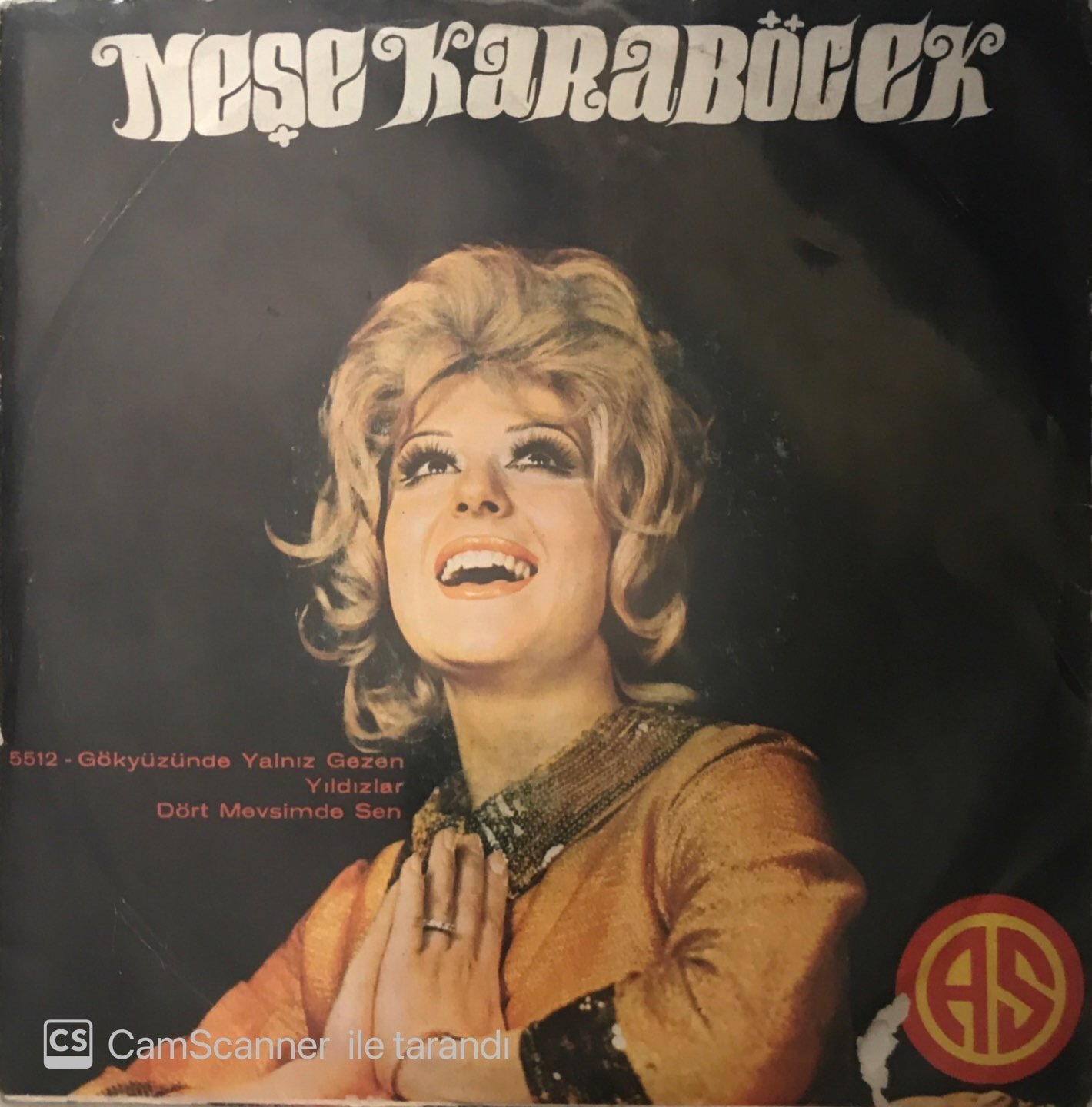 Neşe Karaböcek Gökyüzünde Yalnız Gezen Yıldızlar 45lik