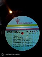 Esengül / Veda LP