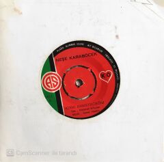 Neşe Karaböcek Adını Anmayacağım 45lik