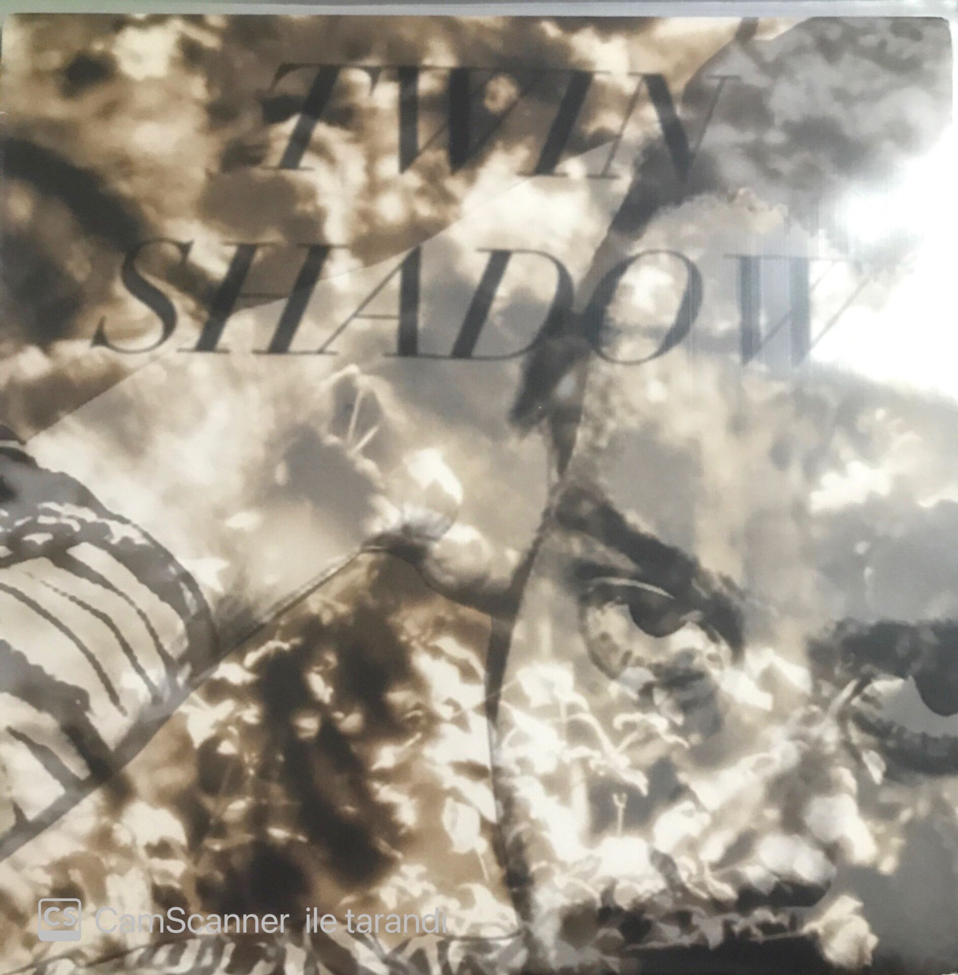 Twin Shadow LP