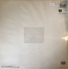 Pet Shop Boys Please LP