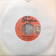 Zeki Müren Rüzgar Kırdı Dalımı 45lik