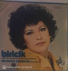 Biricik En Büyük Sır 45lik