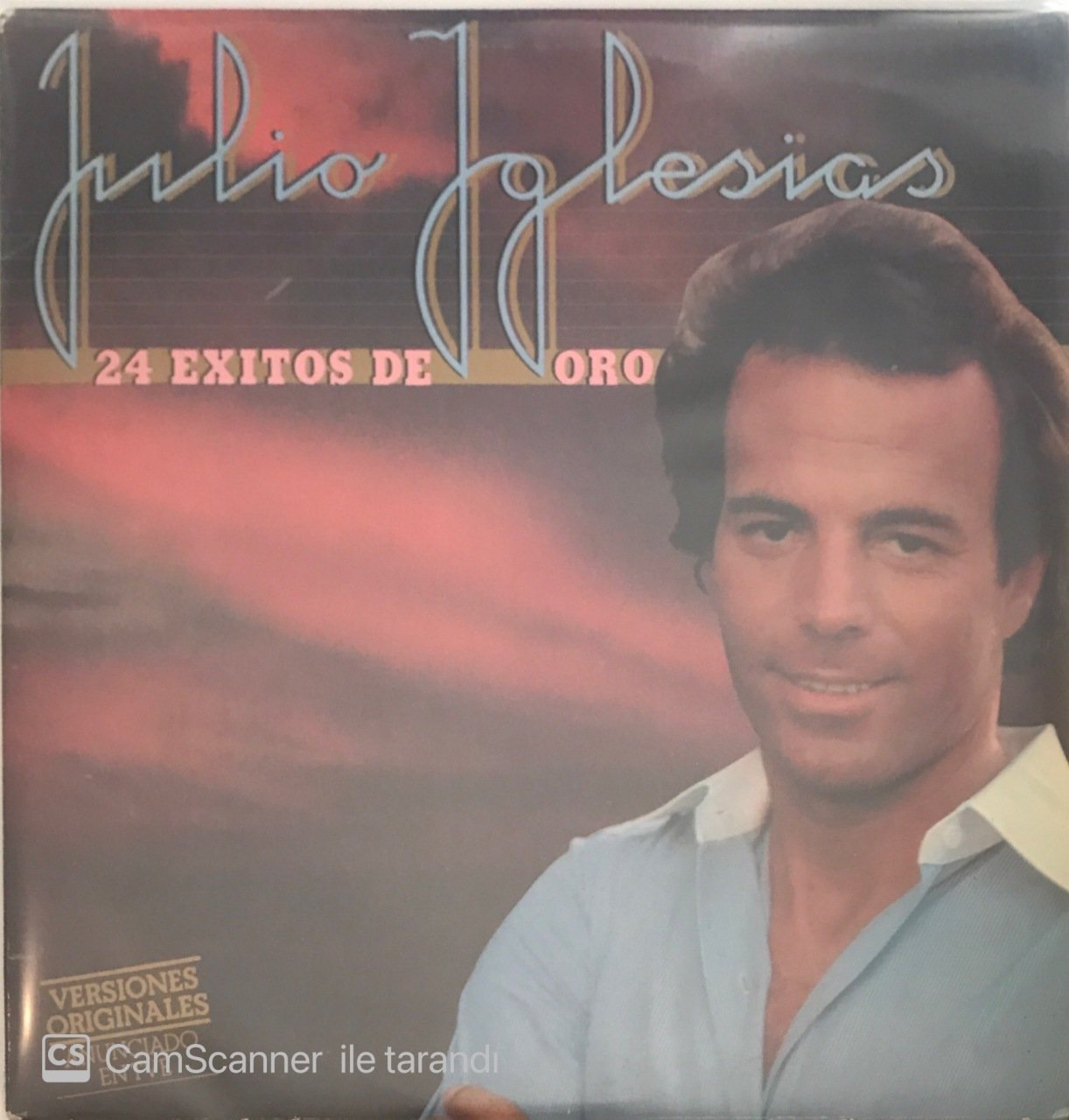 Julio Iglesias 24 Exitos De Oro Double LP