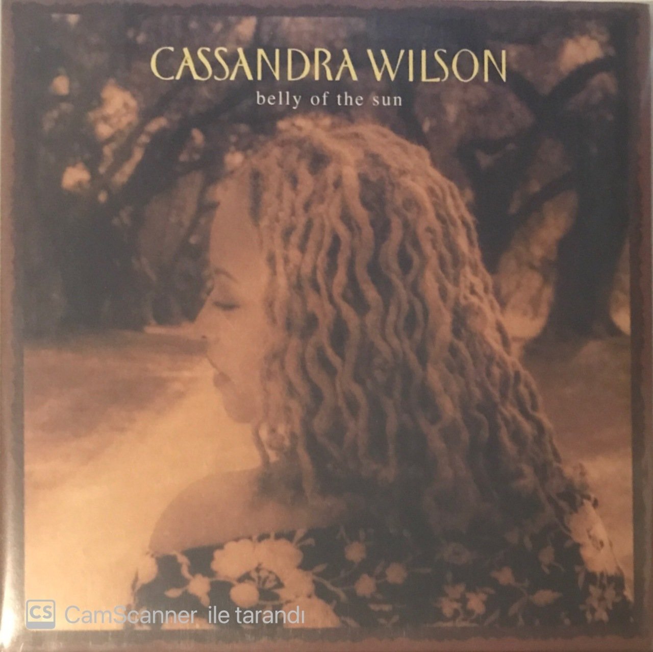 Cassandra Wilson Belly Of The Sun Double LP