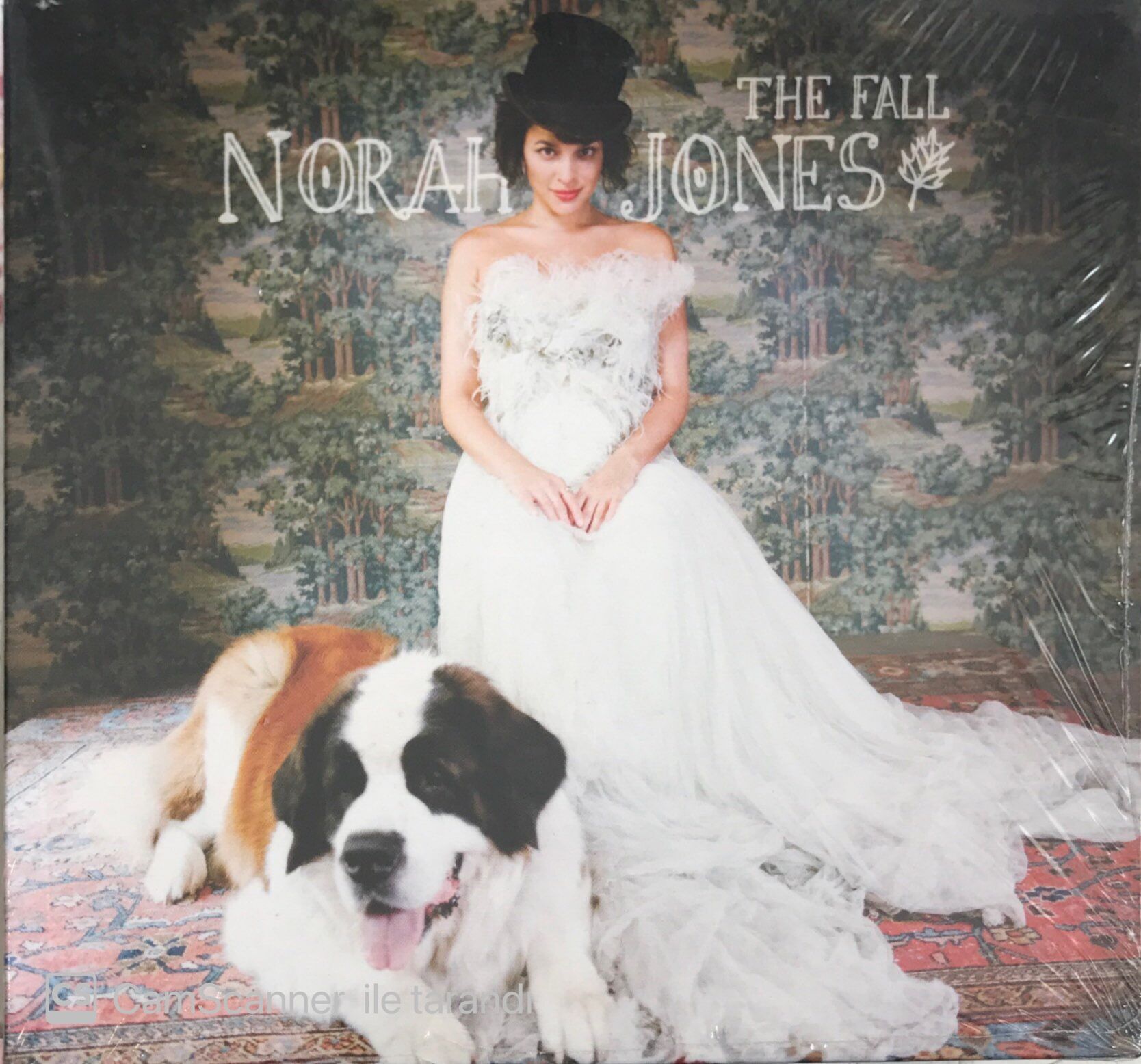 Norah Jones The Fall CD