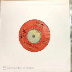 Önder Bali Aldanırım Sanma 45lik