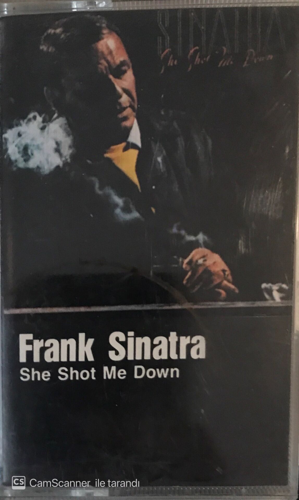 Frank Sinatra - She Shot Me Down KASET