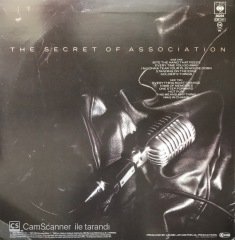 Paul Young The Secret Of Association LP