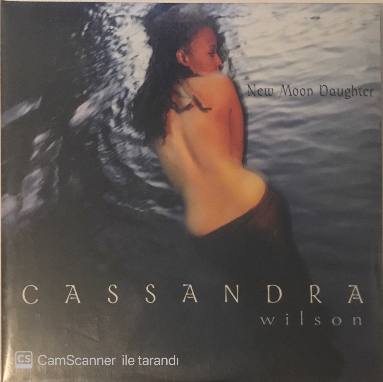 Cassandra Wilson New Moon Daughter Double LP