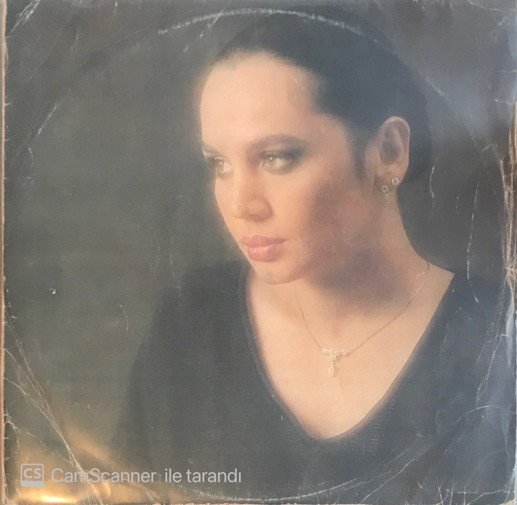 Sezen Aksu - Firuze LP