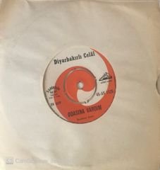 Diyarbakırlı Celal Odasına Vardım 45lik