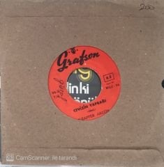 Muzaffer Akgün - Cevizin Yaprağı 45lik