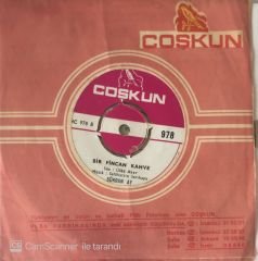 Şükran Ay Kanbur Felek 45lik