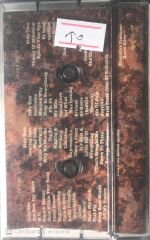 Home Alive The Art Of Self Defense KASET