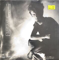 Howard Jones - What Is Love/It Just Doesn't Matter - 45'lik
