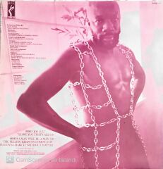 Isaac Hayes - Joy - LP