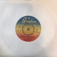 Zeki Müren Sevgimizin Aşkımızın Üstünden 45lik