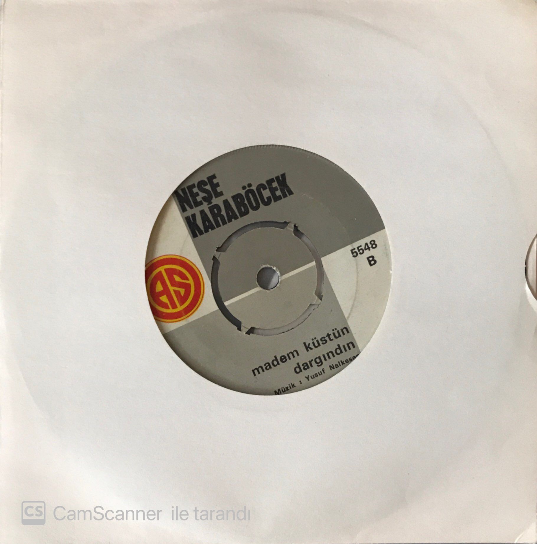 Neşe Karaböcek Madem Küstün Dargındın 45lik