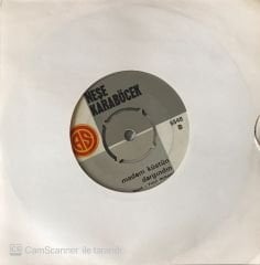 Neşe Karaböcek Madem Küstün Dargındın 45lik