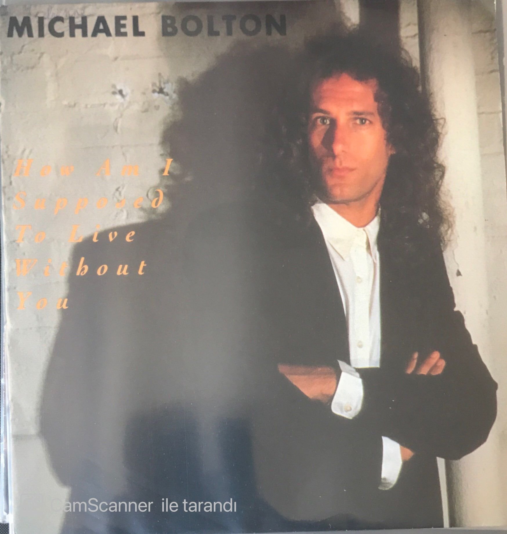 Michael Bolton How Am I Supposed To Live Without You 45lik
