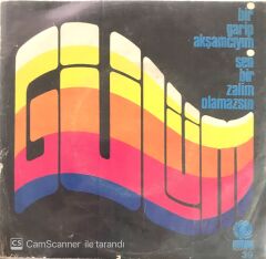 Gülüm - Bir Garip Akşamcıyım 45lik
