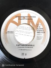 Captain Sensible's Wot! - 45'lik