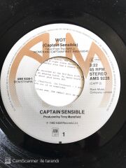 Captain Sensible's Wot! - 45'lik