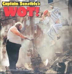 Captain Sensible's Wot! - 45'lik