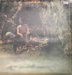David Anderson Children Of The Mist LP