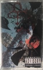 Chaos And Disorder KASET