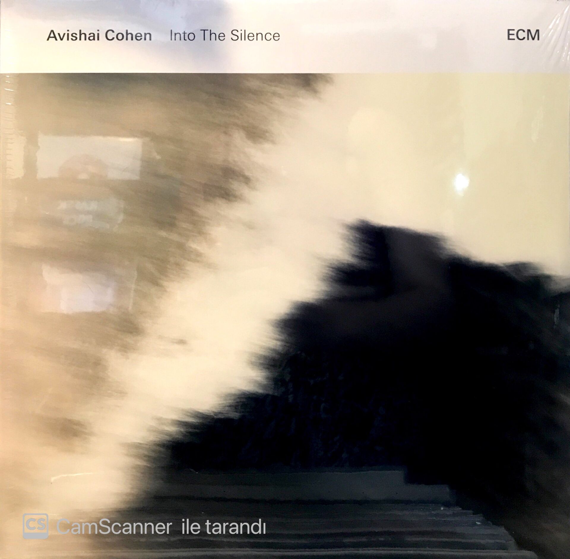 Avishai Cohen / Into The Silence LP