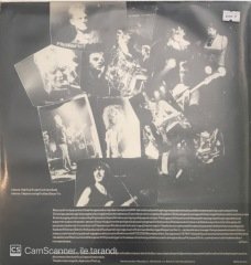 The Frog Document LP