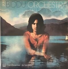 Blue Eyed Soul The Biddu Orchestra LP