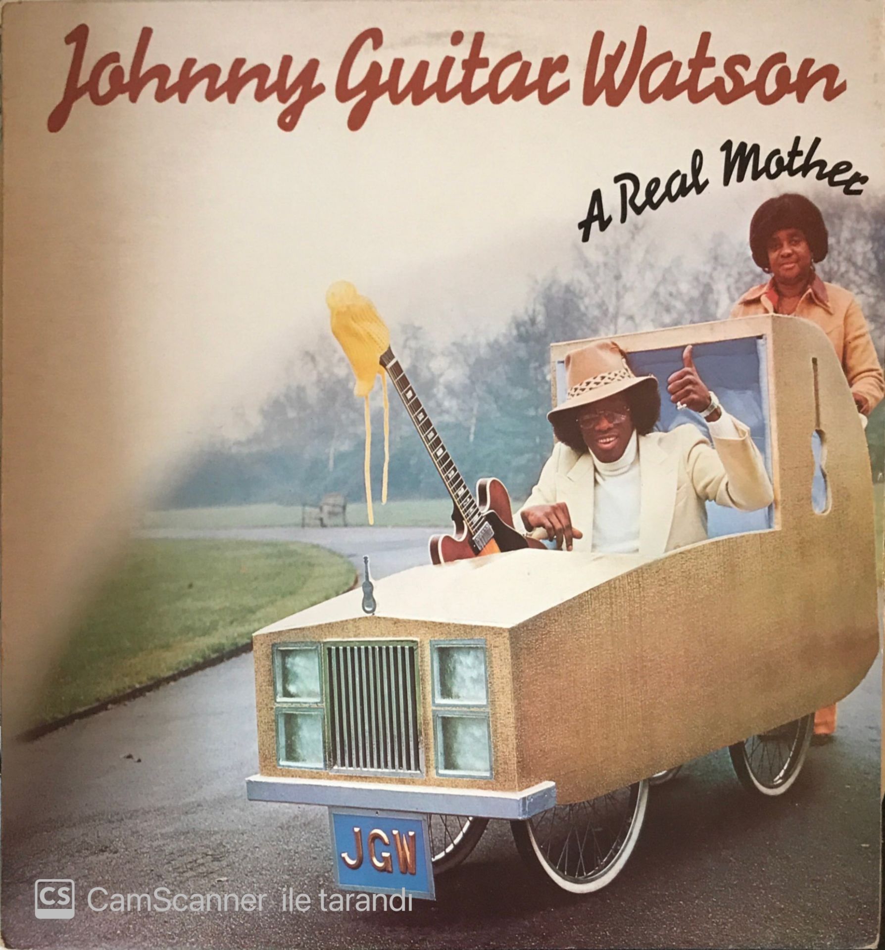 Johnny Guitar Watson A Real Mother LP