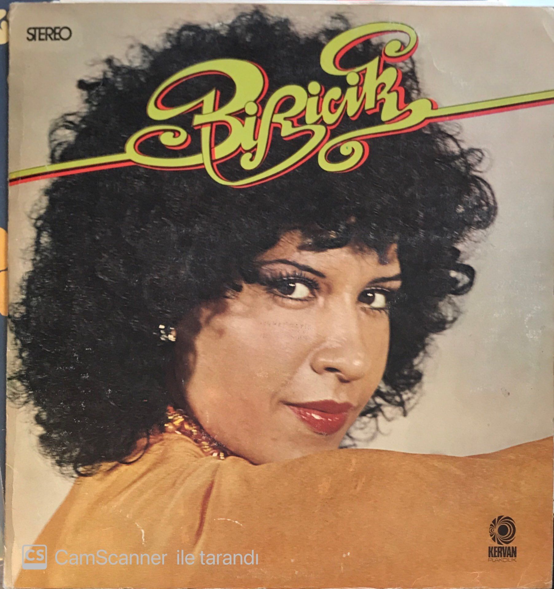 Biricik Deli Gibi Sevdim LP