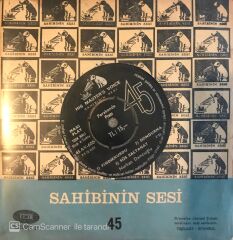 Nurhan Damcıoğlu / Kabağı Da Boynuma Takarım 45'lik