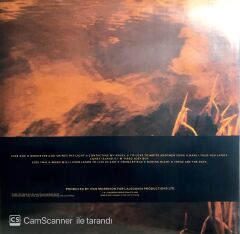 Van Morrison / Avalon Sunset LP