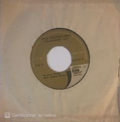 Ayla Büyükataman Dudaklarımda Arzu 45lik