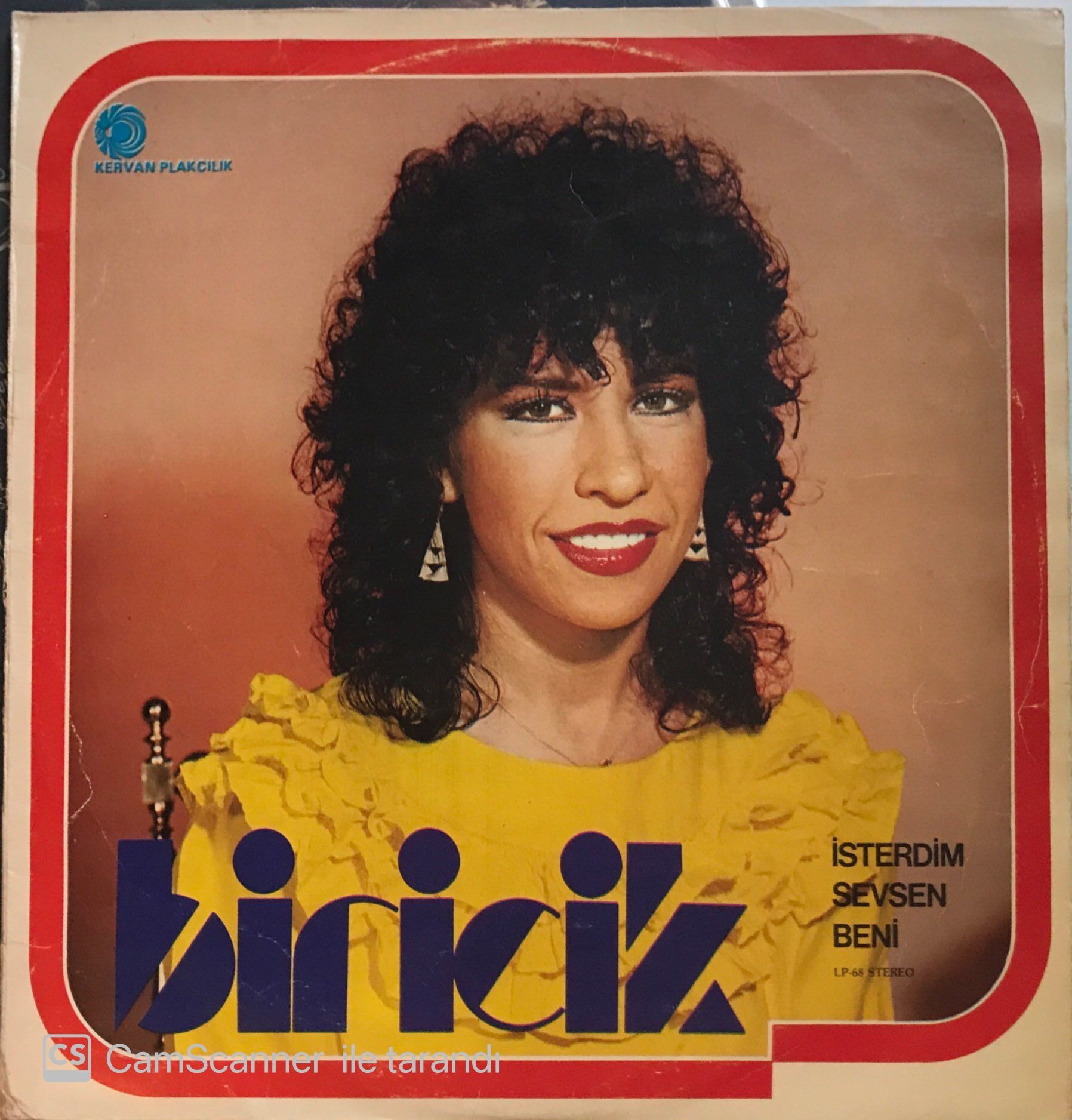 Biricik İsterdim Sevsen Beni LP