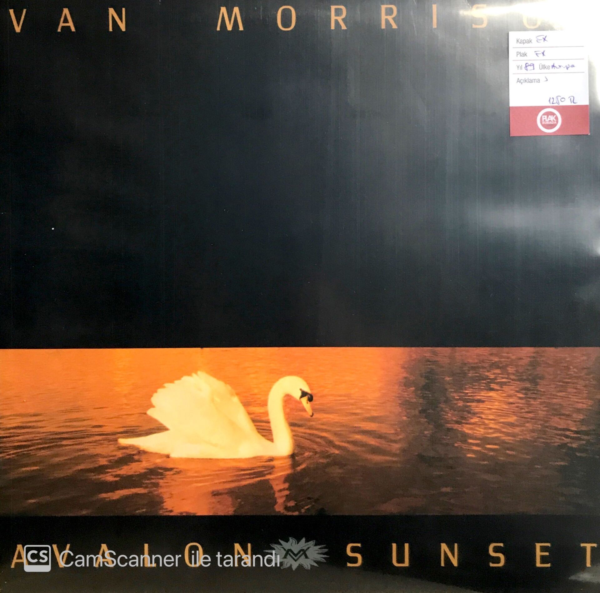 Van Morrison / Avalon Sunset LP